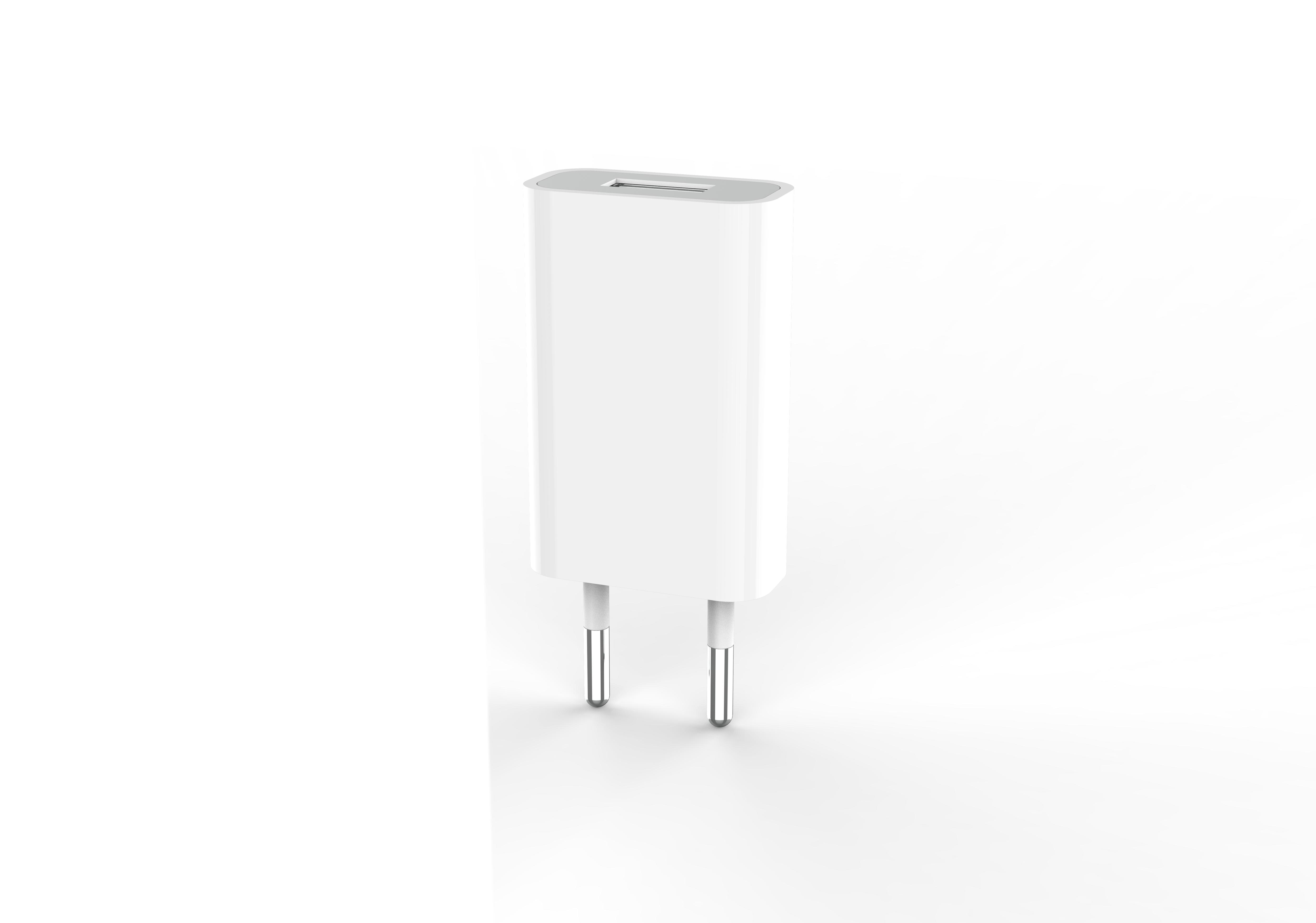 Rixus RXCH5W USB Power Charger 5W White (Bulk)