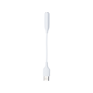 Samsung Adaptateur USB-C vers prise audio 3,5 mm blanc (sans boîte de rangement)