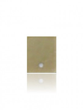 For iPhone 8 / 8 Plus Low Frequency Antenna Filter